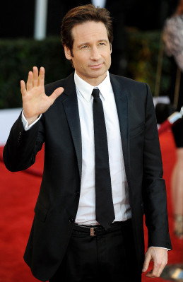 David Duchovny pic #225905