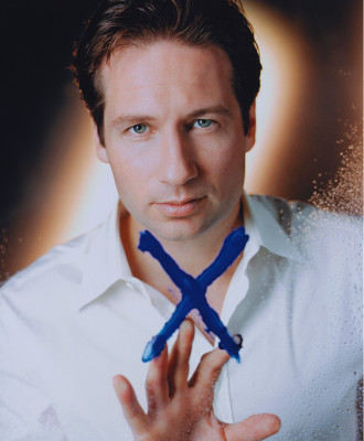 David Duchovny pic #178784