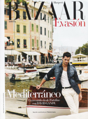 David Gandy pic #342123