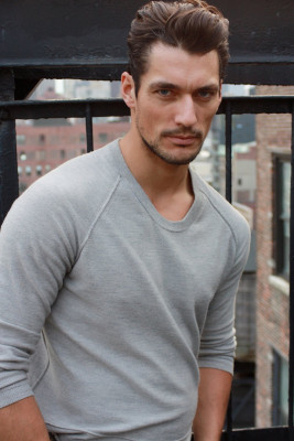 David Gandy pic #303584
