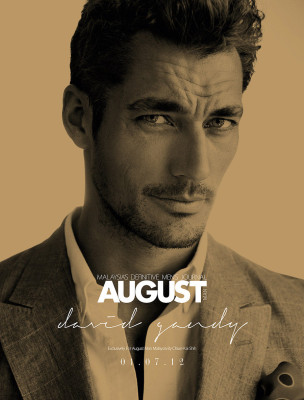 David Gandy pic #517713