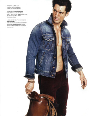 David Gandy pic #239870