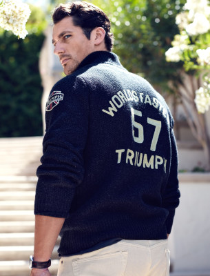 David Gandy pic #564455