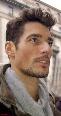 David Gandy pic #544518