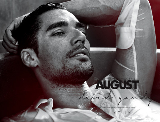 David Gandy pic #514087