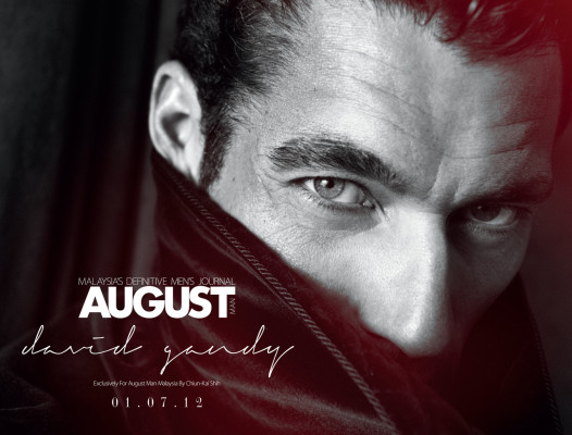 David Gandy pic #514085