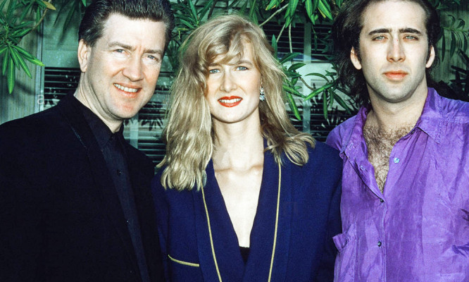 photo 18 in David Lynch gallery [id1312379] 2022-10-28 00:00:00