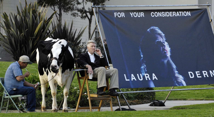 photo 28 in David Lynch gallery [id1312369] 2022-10-28 00:00:00
