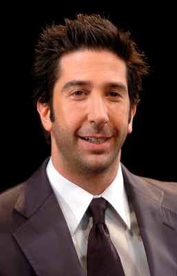 David Schwimmer pic #88347