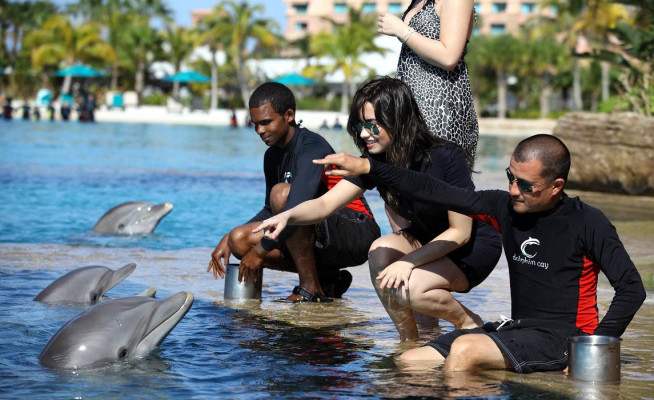 Demi Lovato pic #377080