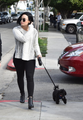 Demi Lovato pic #830821