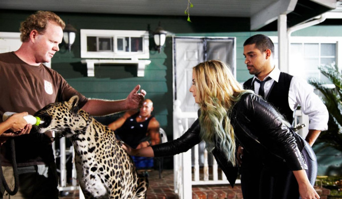 Demi Lovato pic #524368