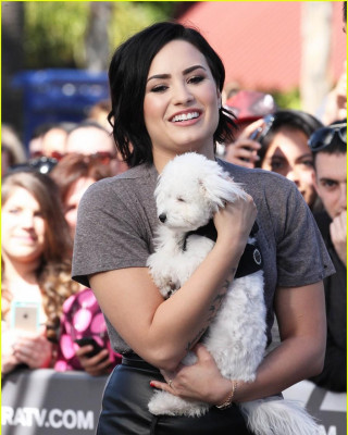 Demi Lovato pic #769081