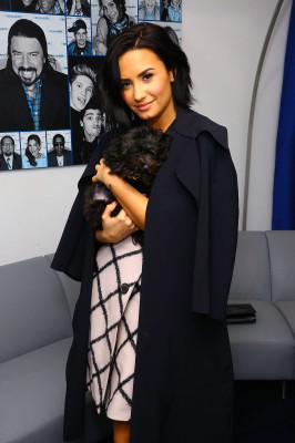Demi Lovato pic #807554