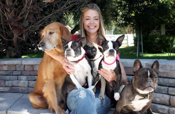 Denise Richards pic #318855