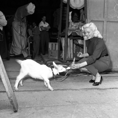 Diana Dors pic #412686