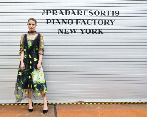 photo 22 in Dianna gallery [id1034431] 2018-05-06 00:00:00