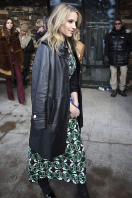 photo 12 in Dianna Agron gallery [id904037] 2017-01-24 00:00:00