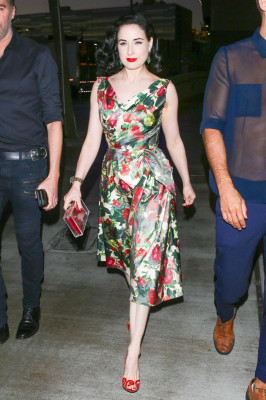 Dita Von Teese pic #871053