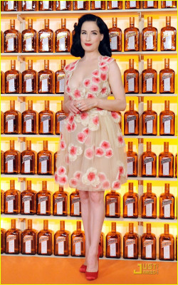 Dita Von Teese pic #181895