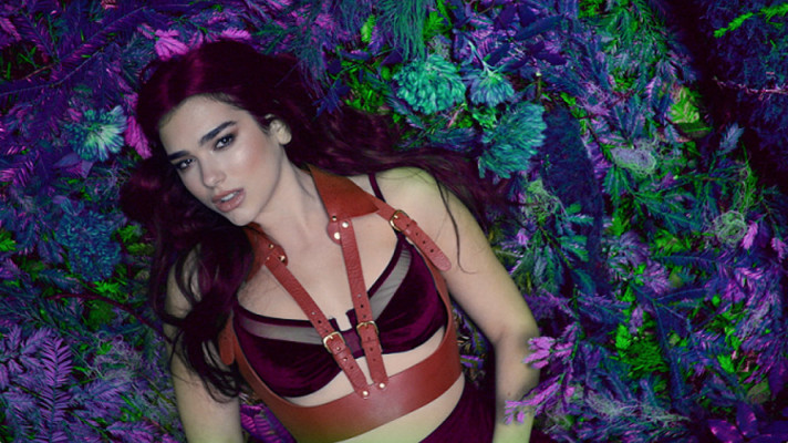 Dua Lipa pic #898011