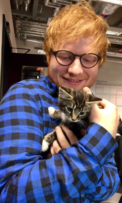 photo 11 in Ed Sheeran gallery [id1156379] 2019-07-19 00:00:00