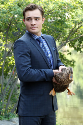 Ed Westwick pic #533609