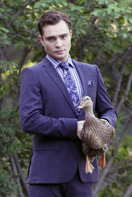 Ed Westwick pic #529405