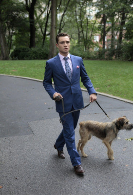 Ed Westwick pic #529859