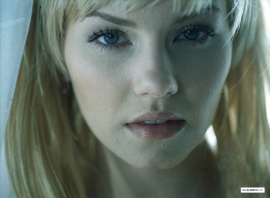 photo 15 in Elisha Cuthbert gallery [id163015] 2009-06-15 00:00:00