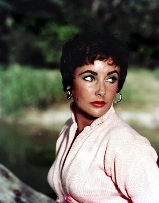 photo 21 in Elizabeth Taylor gallery [id571842] 2013-02-01 00:00:00