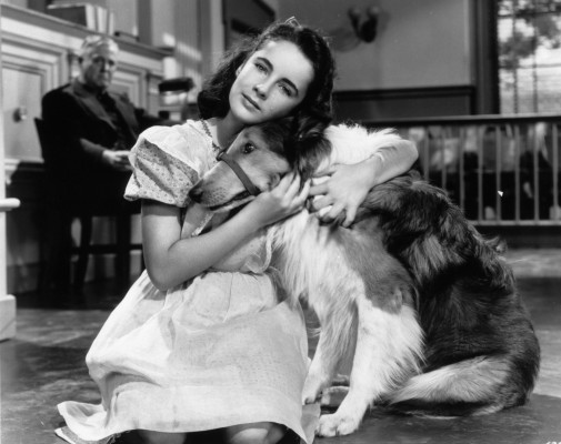 Elizabeth Taylor pic #374020