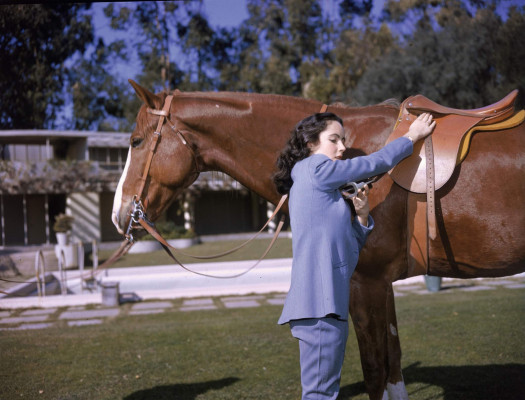 Elizabeth Taylor pic #264362