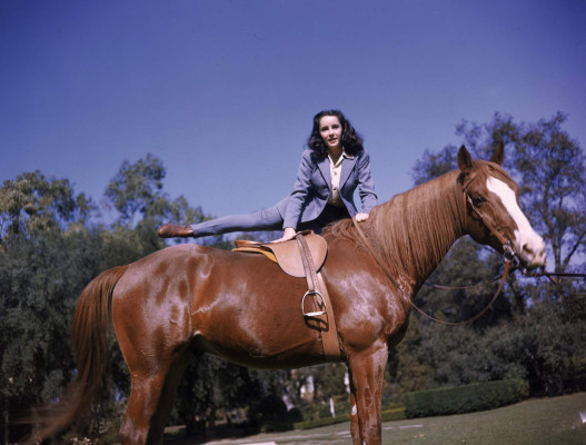 Elizabeth Taylor pic #264360
