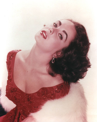 photo 13 in Elizabeth Taylor gallery [id433293] 2011-12-29 00:00:00