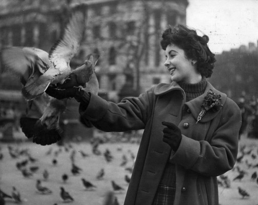 Elizabeth Taylor pic #332066
