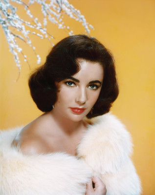 photo 14 in Elizabeth Taylor gallery [id427044] 2011-12-07 00:00:00