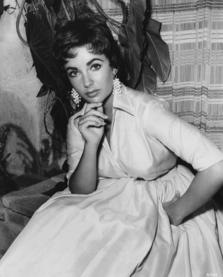 photo 3 in Elizabeth Taylor gallery [id571830] 2013-02-01 00:00:00