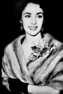 photo 6 in Elizabeth Taylor gallery [id572291] 2013-02-03 00:00:00