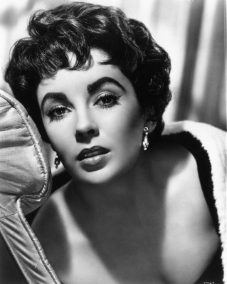 photo 14 in Elizabeth Taylor gallery [id423889] 2011-11-28 00:00:00