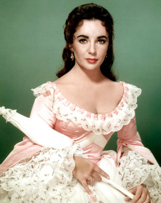 photo 20 in Elizabeth Taylor gallery [id88128] 2008-05-18 00:00:00
