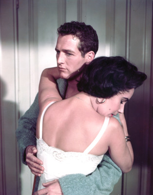 photo 17 in Elizabeth Taylor gallery [id432102] 2011-12-21 00:00:00