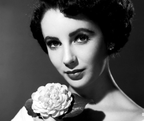 Elizabeth Taylor pic #171972