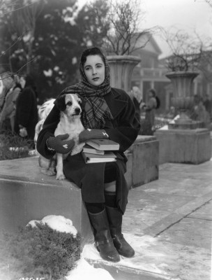photo 24 in Elizabeth Taylor gallery [id425799] 2011-12-02 00:00:00