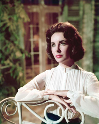 photo 13 in Elizabeth Taylor gallery [id362671] 2011-03-29 00:00:00