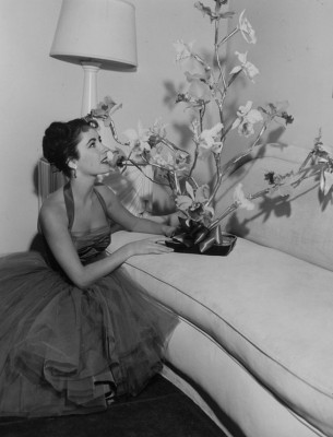 photo 7 in Elizabeth Taylor gallery [id572290] 2013-02-03 00:00:00