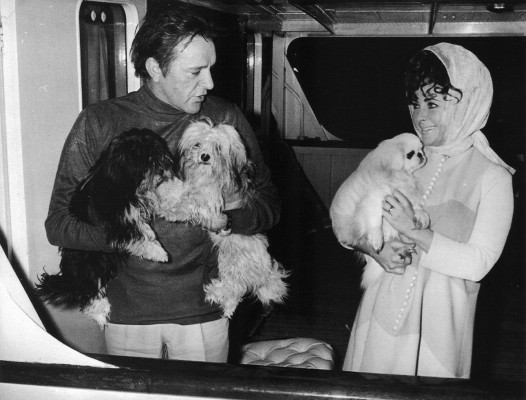 Elizabeth Taylor pic #368200