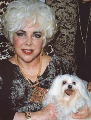 photo 16 in Elizabeth Taylor gallery [id386437] 2011-06-16 00:00:00