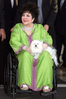 photo 7 in Elizabeth Taylor gallery [id362488] 2011-03-29 00:00:00