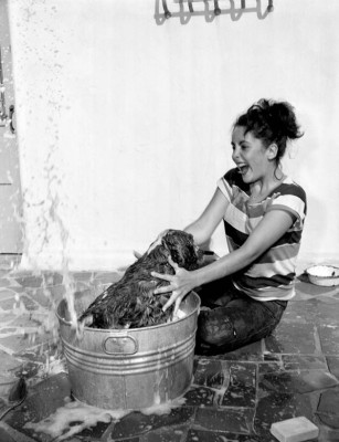 photo 29 in Elizabeth Taylor gallery [id72230] -0001-11-30 00:00:00